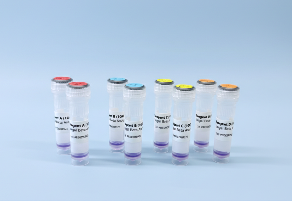 MycoScan kit and reagent tubes